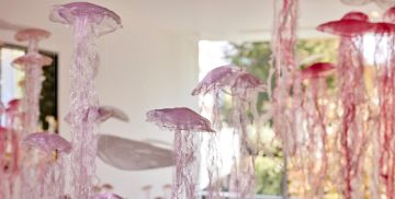 Tra note e trasparenza