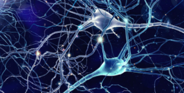 Neuro-oncology meeting 2026