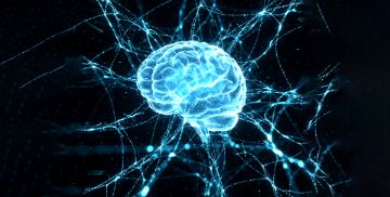 28-30 NOV - Terza Conferenza Europea di Neuro-Agopuntura