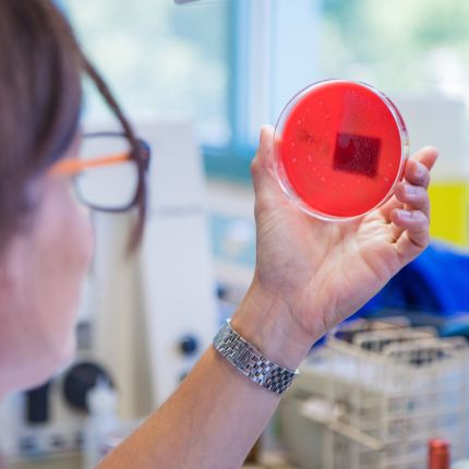 Servizi clinici e diagnostici