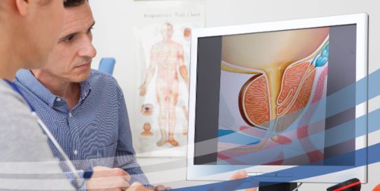 Il ruolo centrale del medico di famiglia nella salute maschile. Come gestire prevenzione e diagnosi precoce delle patologie urologiche