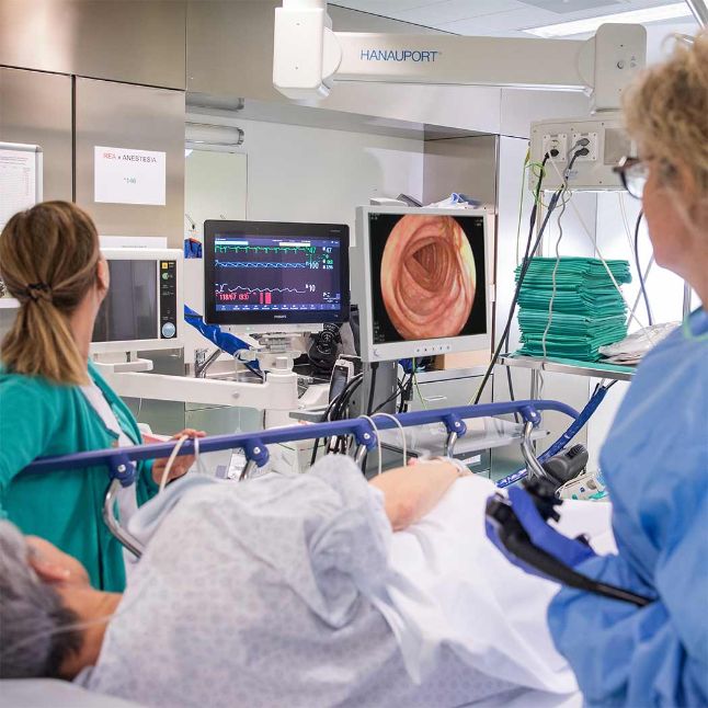 Gastroenterologia