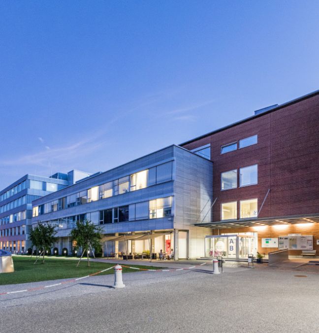 Ospedale Regionale di Lugano, Italiano