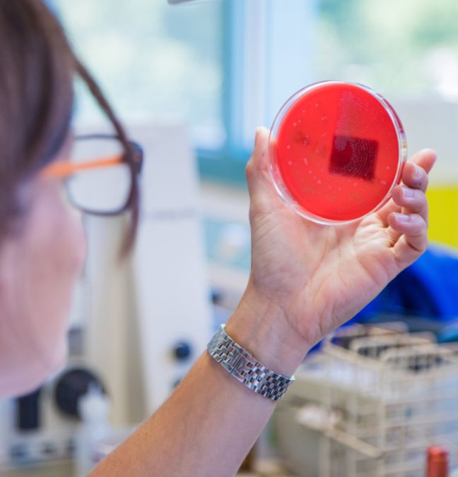 Servizi clinici e diagnostici