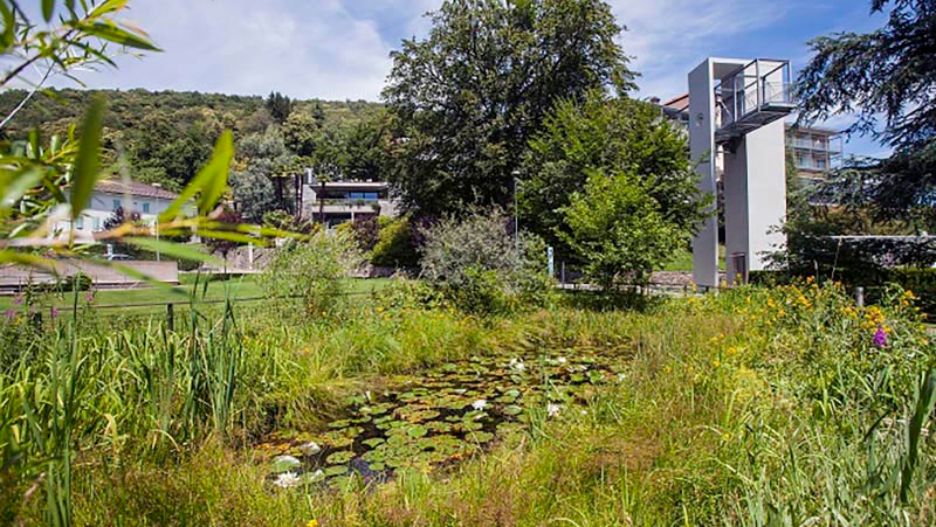Stagno nel parco Clinica di Riabilitazione EOC