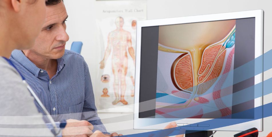 Il ruolo centrale del medico di famiglia nella salute maschile. Come gestire prevenzione e diagnosi precoce delle patologie urologiche