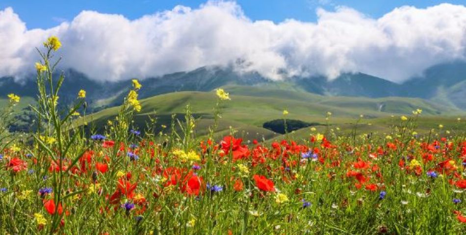 Simposio Pneumologia degli estremi: il paziente al limite