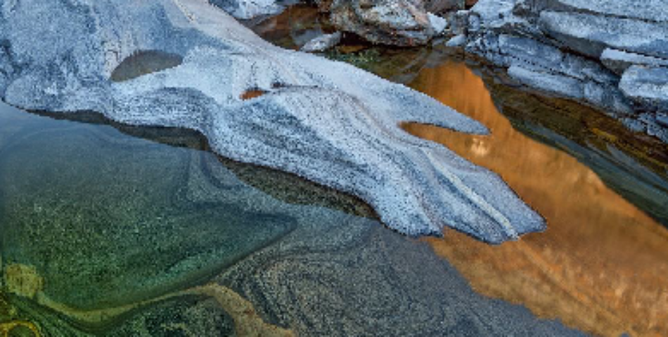 Malattie emorragiche oggi