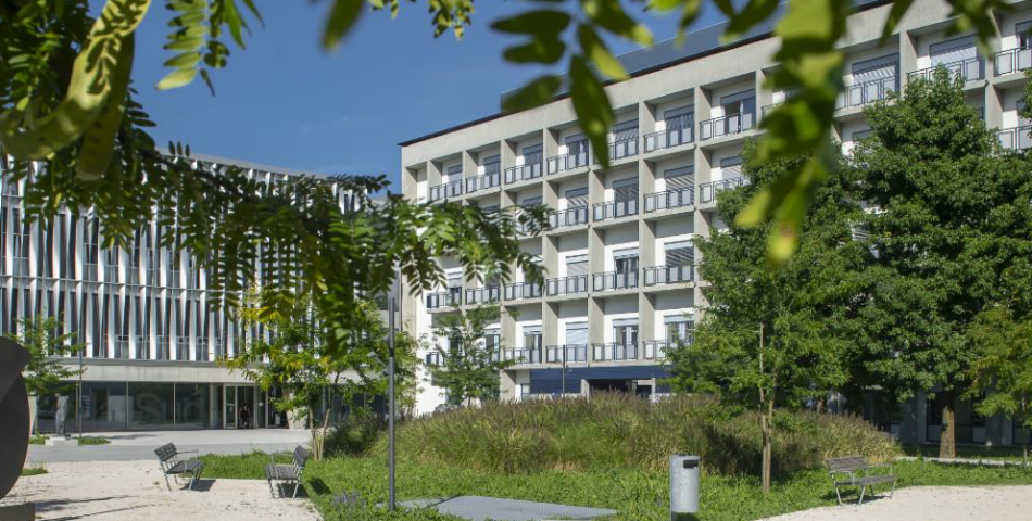 Simposio di Medicina Rigenerativa