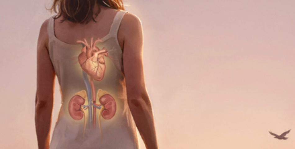 Simposio internazionale interdisciplinare sulla gestione del paziente cardio-reno-metabolico
